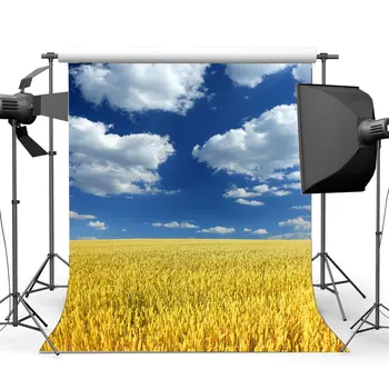 Есенен фон земеделски земи Златна пшеница област Синьо небе, Бял облак природа на реколтата, тапети фон